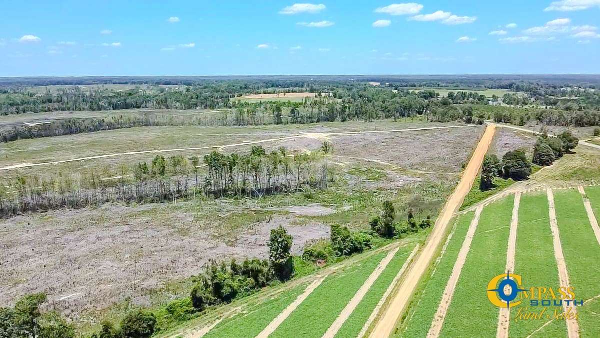 204 Acres of Recreational Land for Sale in McRae, Georgia