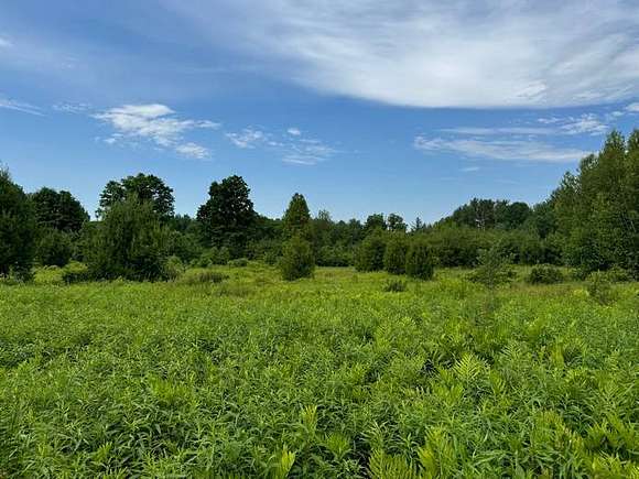 10 Acres of Recreational Land for Sale in Camden, New York