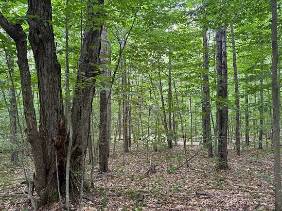 5.01 Acres of Residential Land for Sale in Forestport, New York