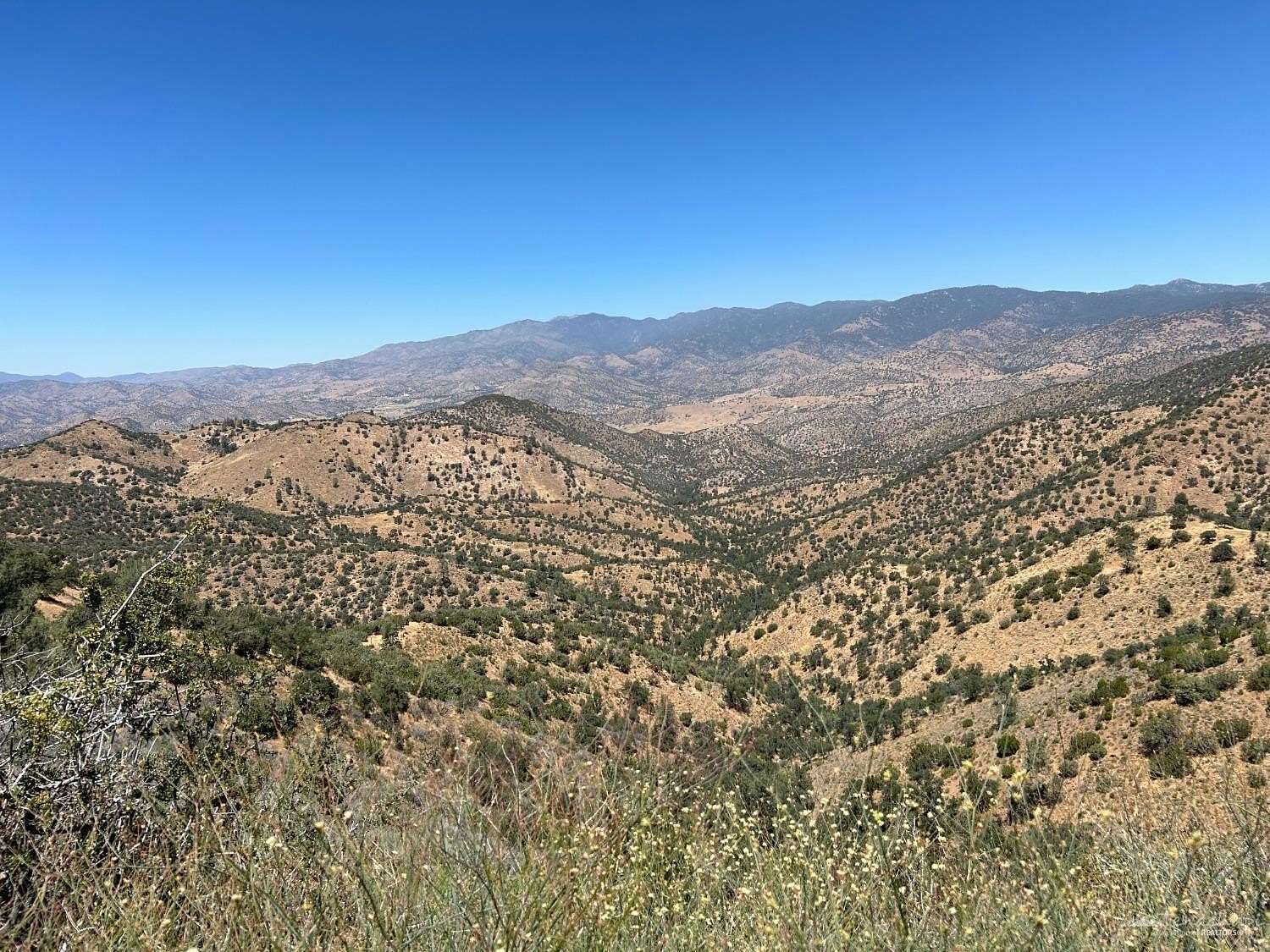 39.5 Acres of Recreational Land & Farm for Sale in Caliente, California