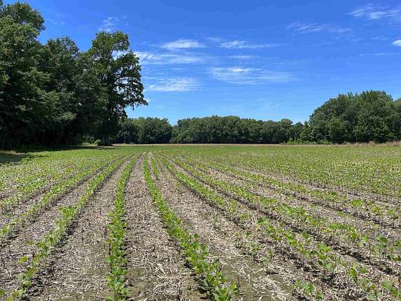 440 Acres of Recreational Land & Farm for Sale in Stanton, Tennessee