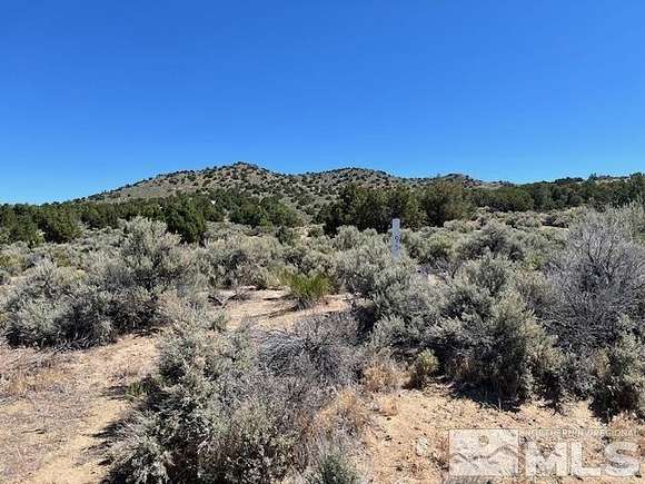 41.8 Acres of Land for Sale in Reno, Nevada