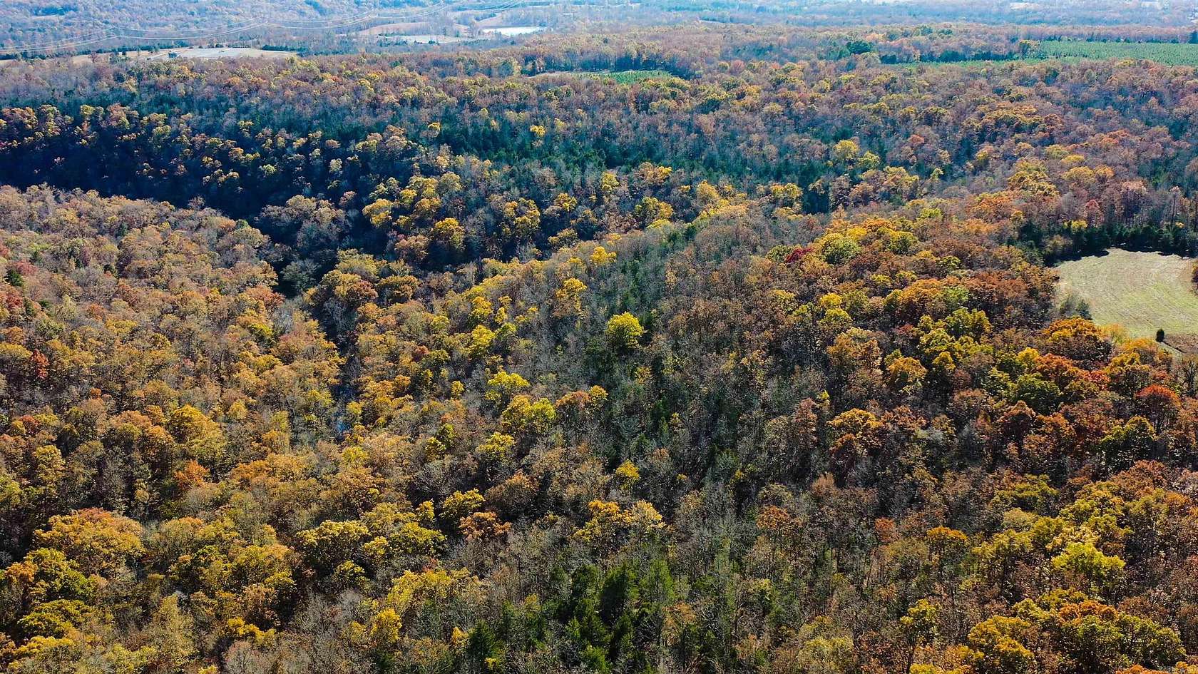 1,230 Acres of Recreational Land for Sale in Judsonia, Arkansas