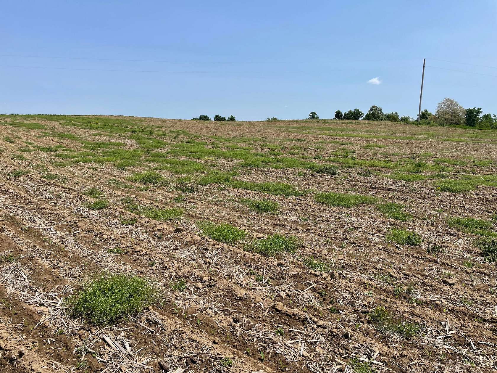 11.58 Acres of Land for Sale in Amanda, Ohio