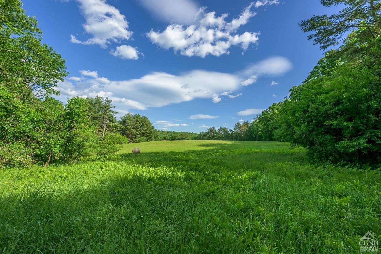 65.8 Acres of Agricultural Land for Sale in Chatham, New York