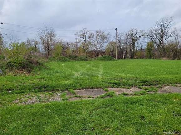 0.33 Acres of Residential Land for Sale in Detroit, Michigan