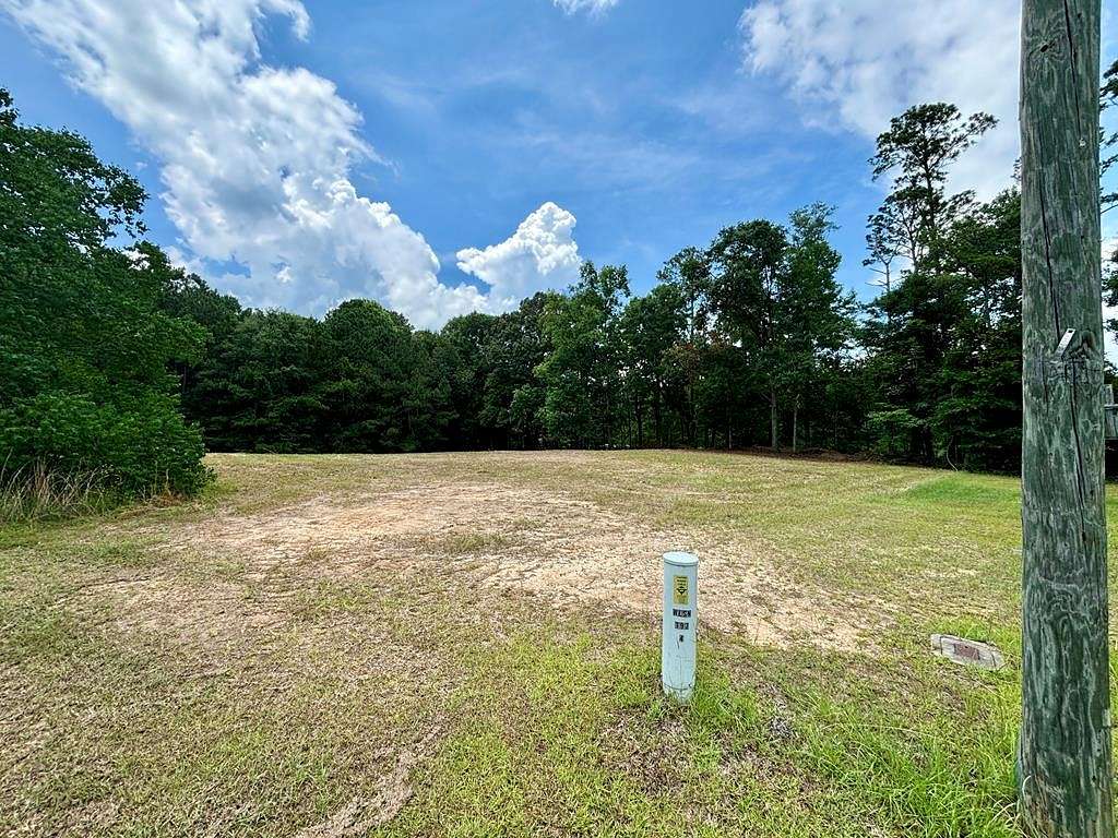 Residential Land for Sale in Abbeville, Alabama