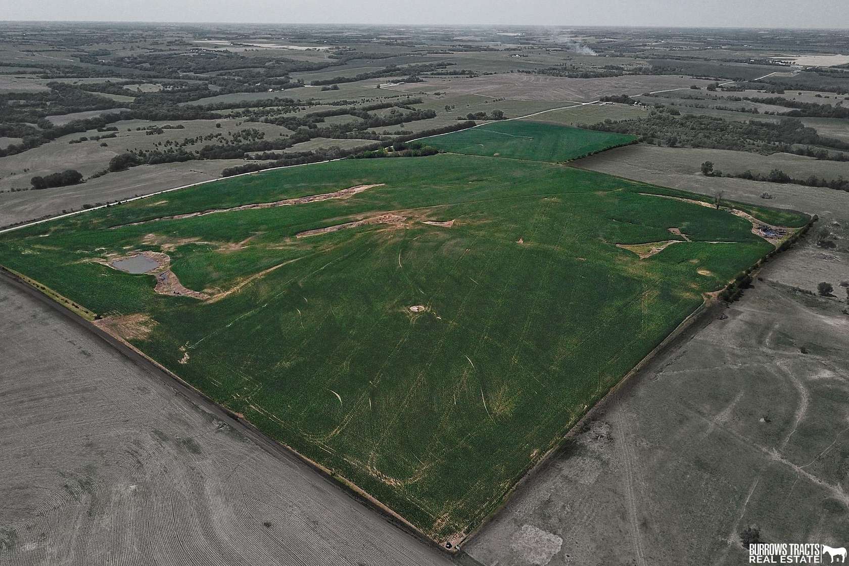 193.21 Acres of Agricultural Land for Sale in Table Rock, Nebraska