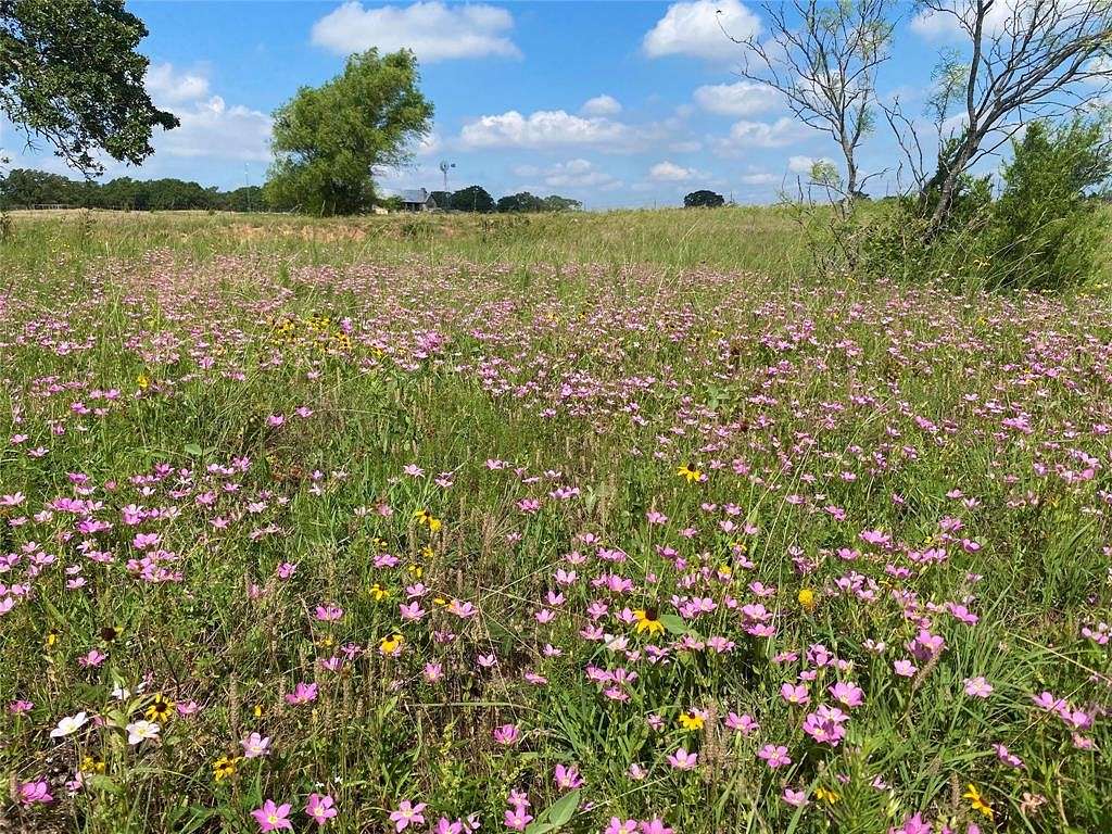 18.12 Acres of Agricultural Land for Sale in Sunset, Texas