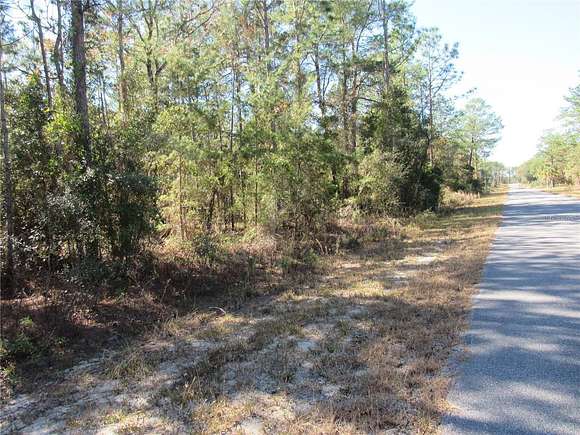 0.99 Acres of Residential Land for Sale in Dunnellon, Florida