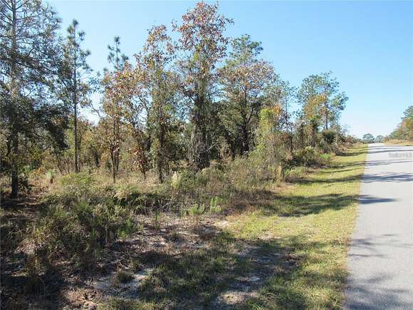 0.99 Acres of Residential Land for Sale in Dunnellon, Florida