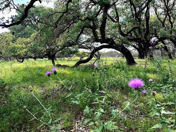 10 Acres of Land for Sale in Lampasas, Texas