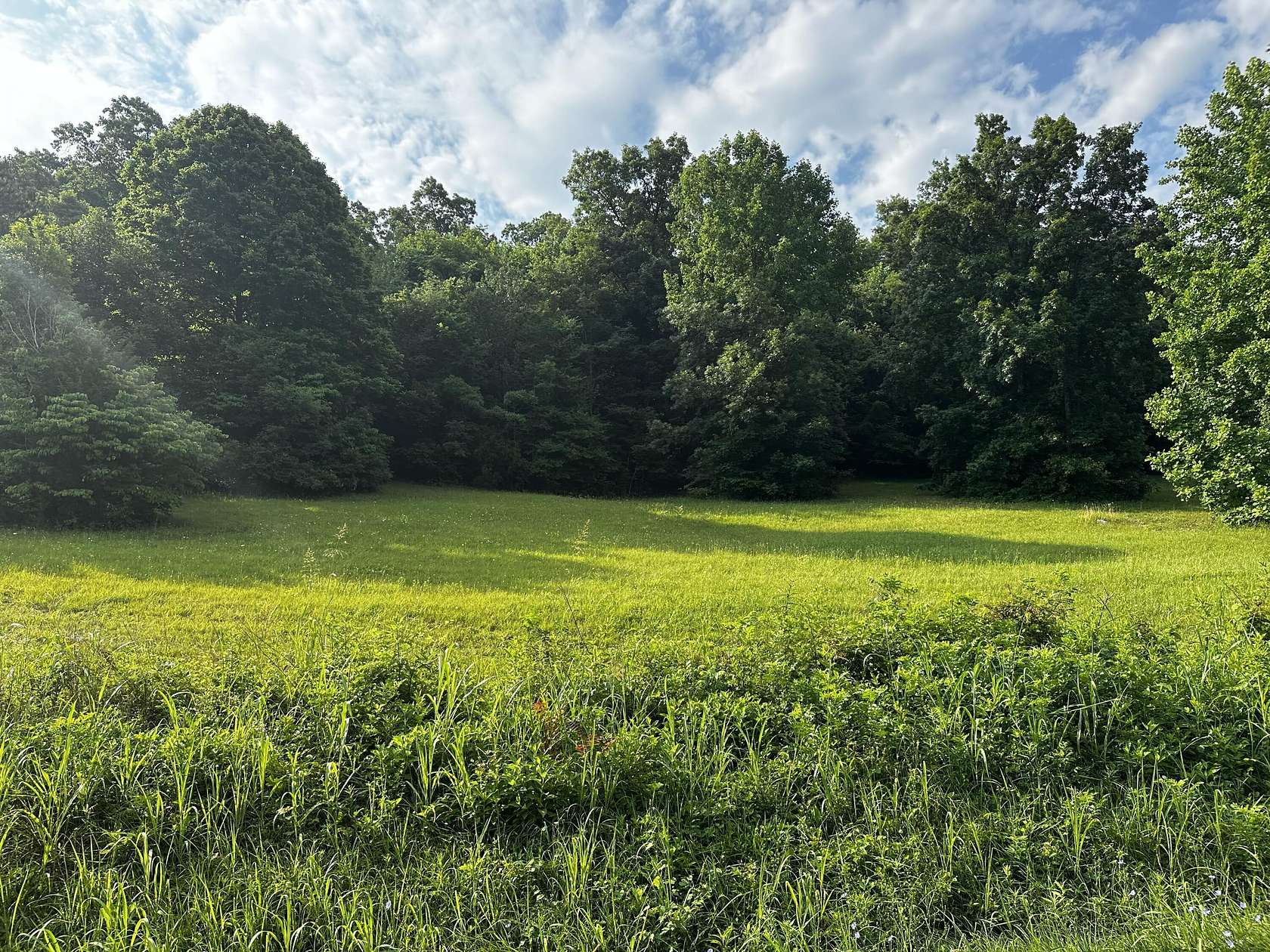 1.98 Acres of Residential Land for Sale in White Pine, Tennessee
