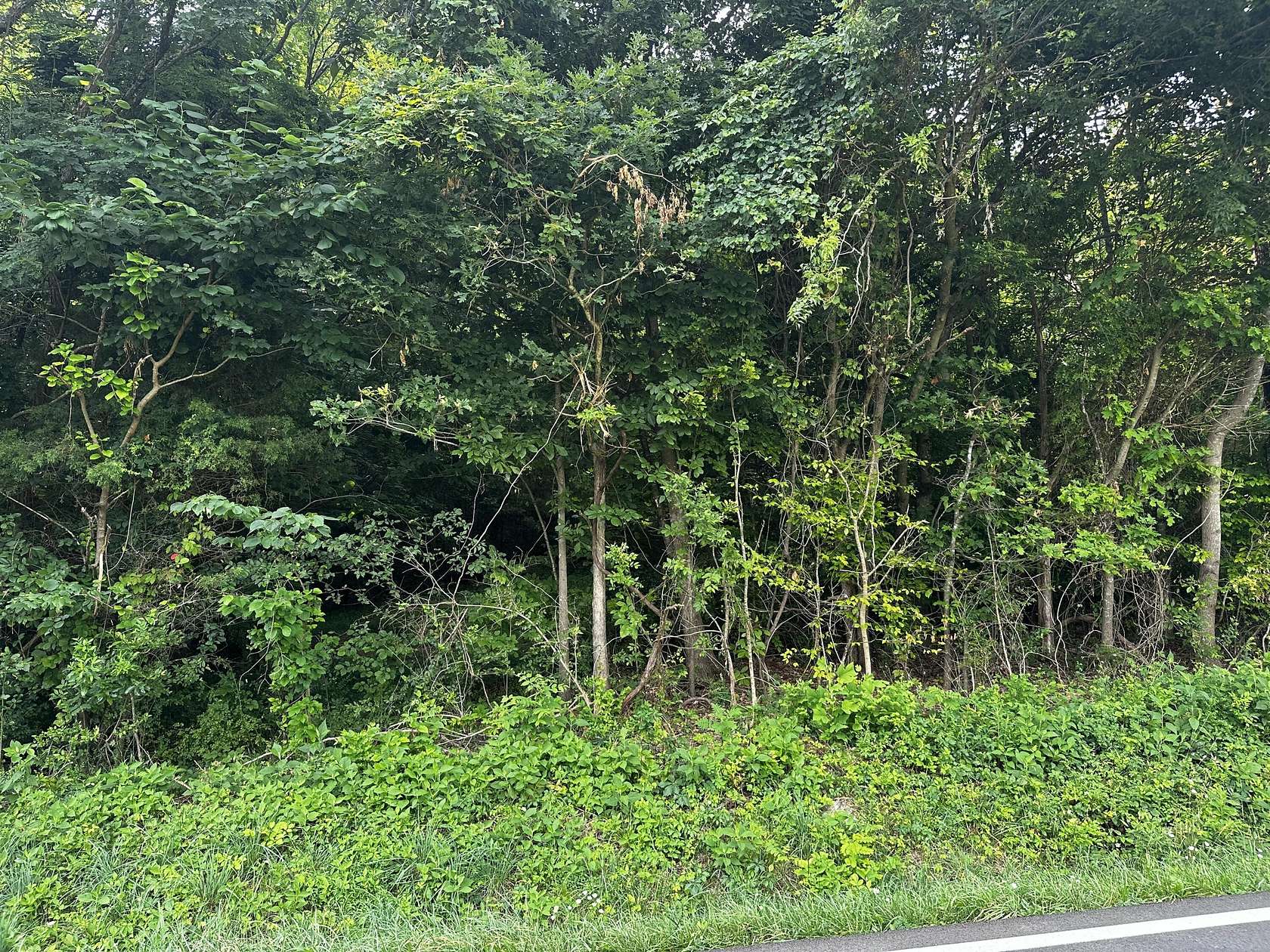 2.95 Acres of Residential Land for Sale in White Pine, Tennessee