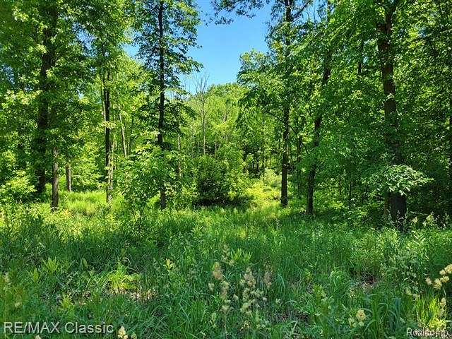 9.92 Acres of Residential Land for Sale in Rose Township, Michigan