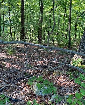 0.59 Acres of Residential Land for Sale in Smithville, Tennessee