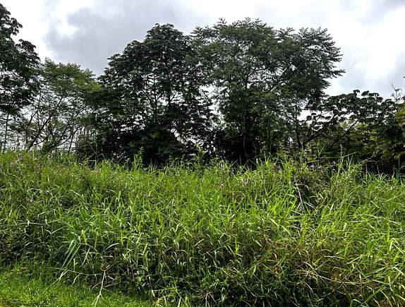 1 Acres of Residential Land for Sale in Pahoa, Hawaii