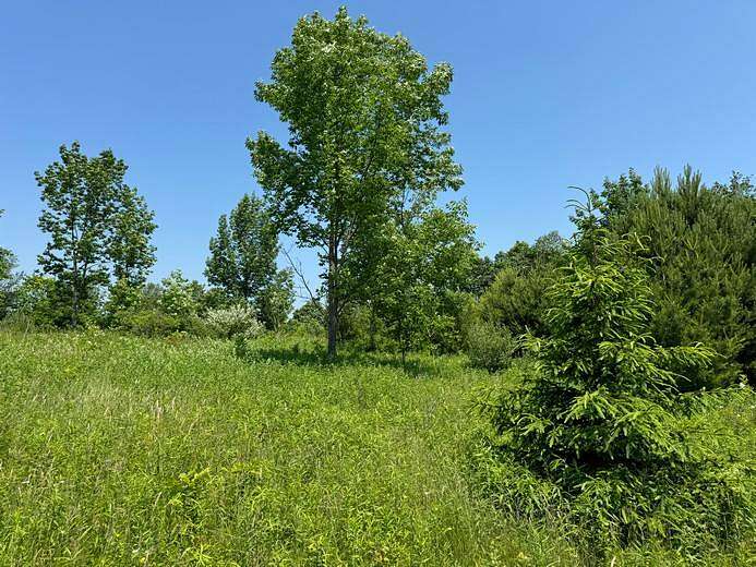 16 Acres of Recreational Land for Sale in Cincinnatus, New York