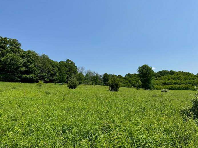 10 Acres of Recreational Land for Sale in Cincinnatus, New York