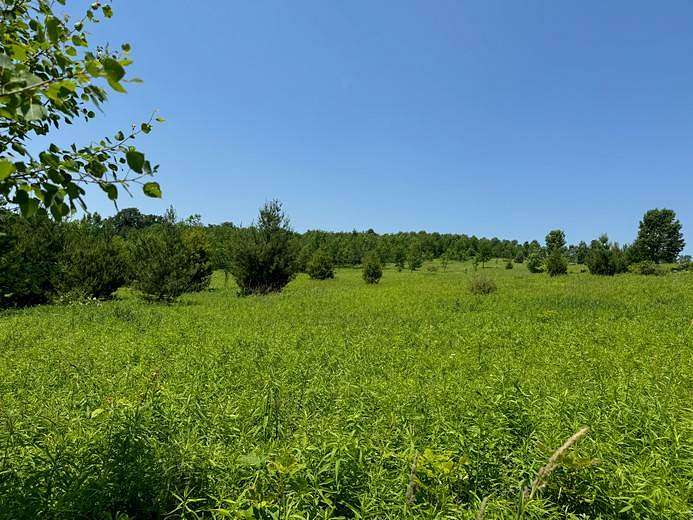 10 Acres of Recreational Land for Sale in Cincinnatus, New York