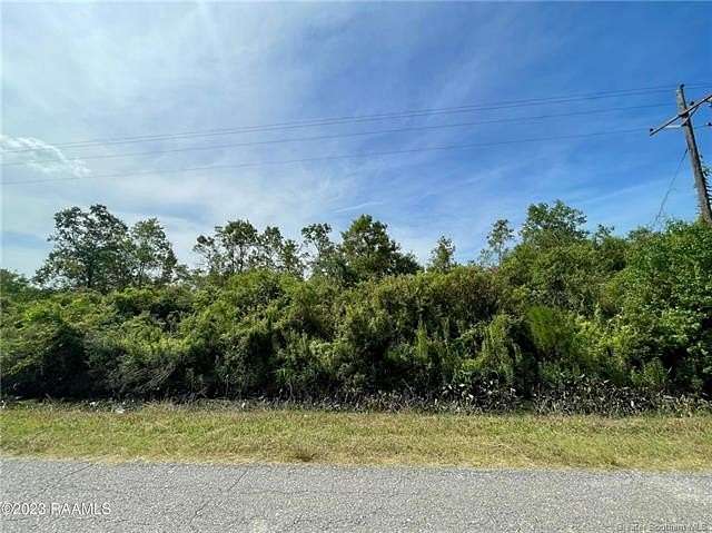 Land for Sale in Gueydan, Louisiana