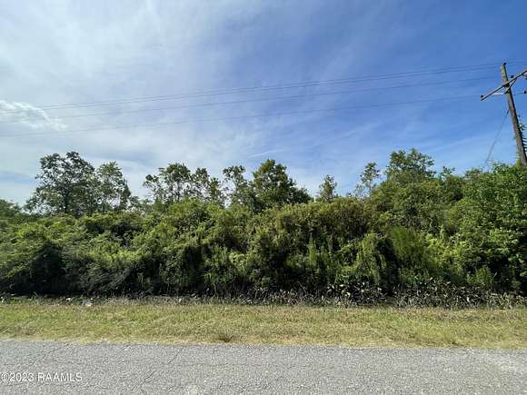 14 Acres of Land for Sale in Gueydan, Louisiana