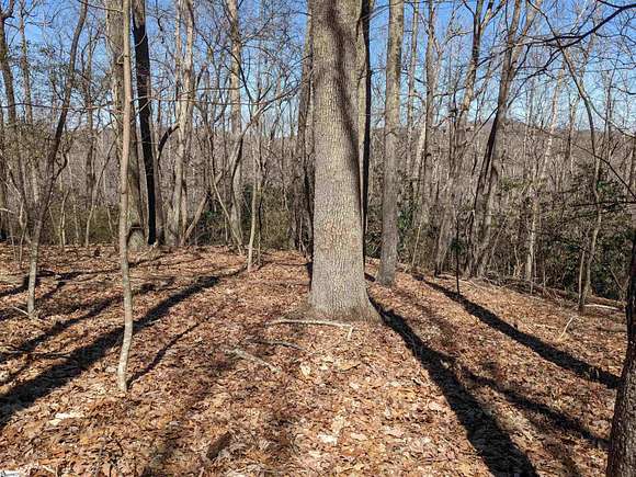 2.11 Acres of Residential Land for Sale in Cleveland, South Carolina