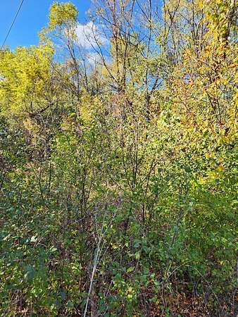 0.52 Acres of Residential Land for Sale in Winfield, Illinois