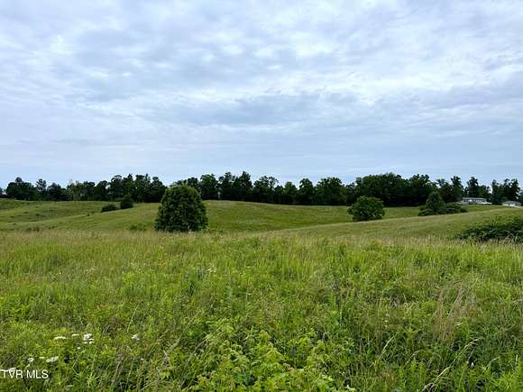 6.99 Acres of Land for Sale in Mosheim, Tennessee