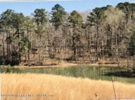 Land for Sale in Jasper, Alabama