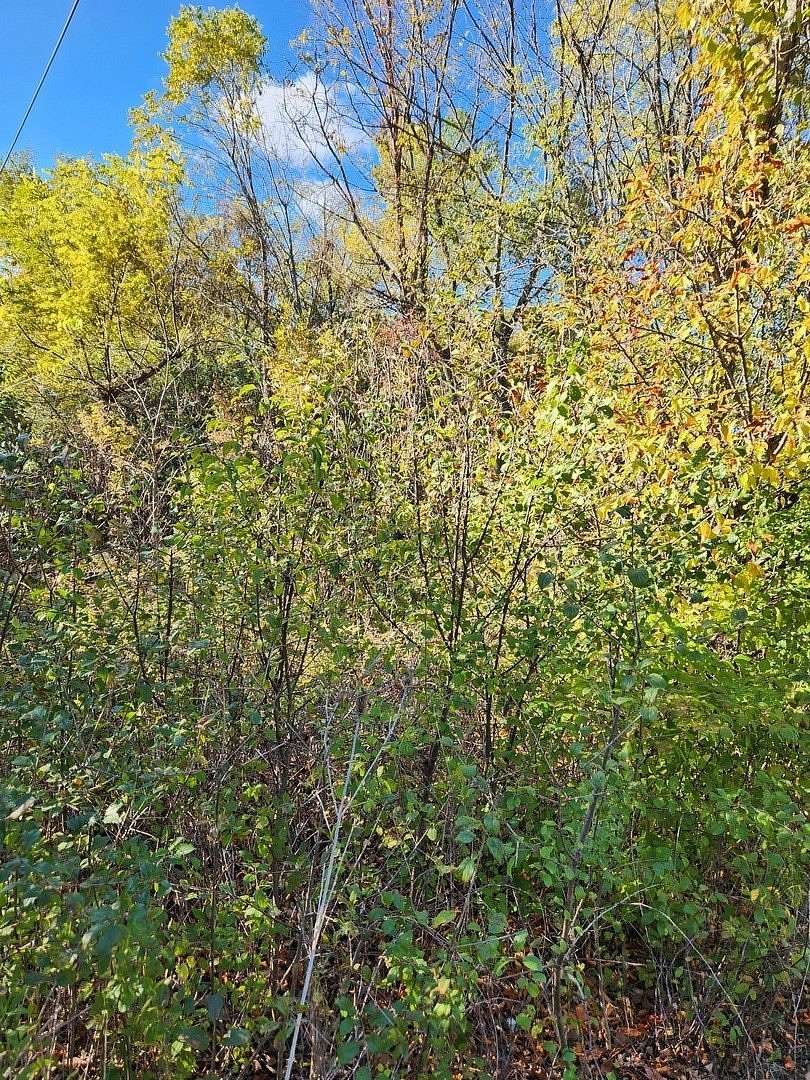 0.17 Acres of Residential Land for Sale in Winfield, Illinois