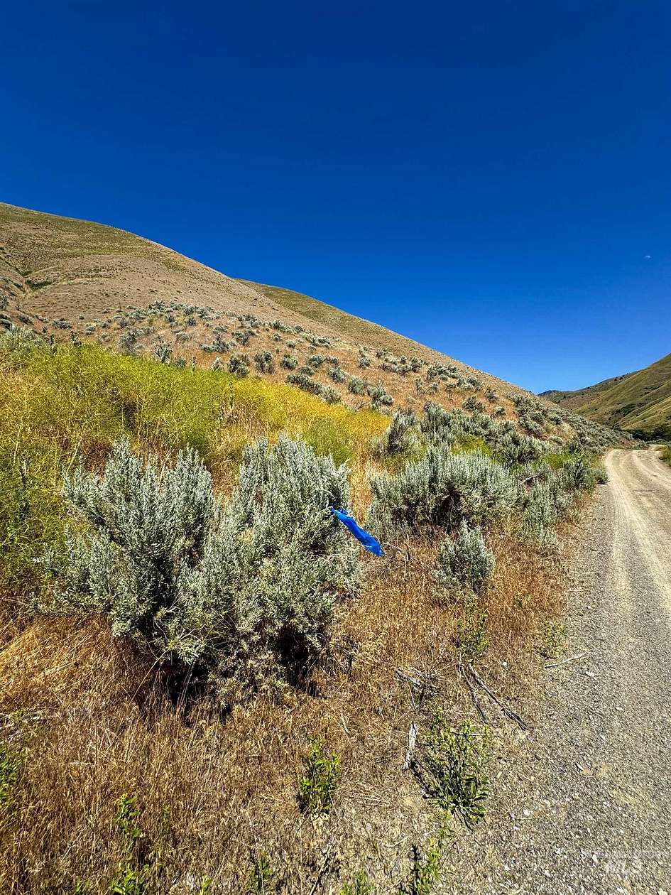 11.79 Acres of Recreational Land for Sale in Weiser, Idaho