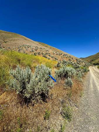 11.8 Acres of Recreational Land for Sale in Weiser, Idaho