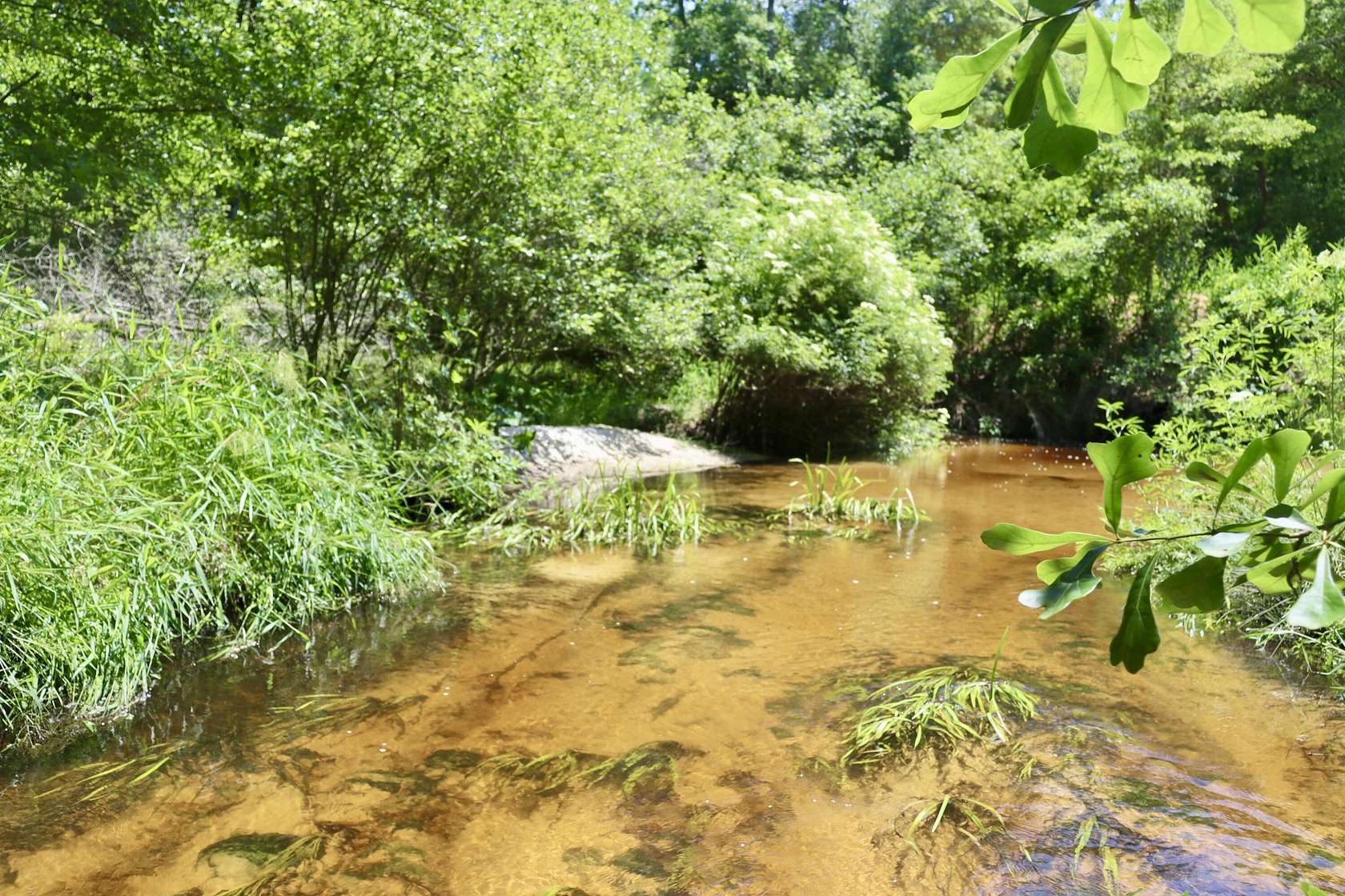 104.8 Acres of Land for Sale in Aiken, South Carolina