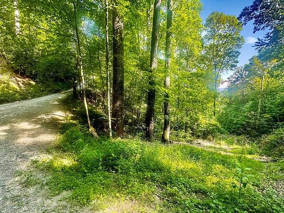 9.86 Acres of Land for Sale in Robbinsville, North Carolina