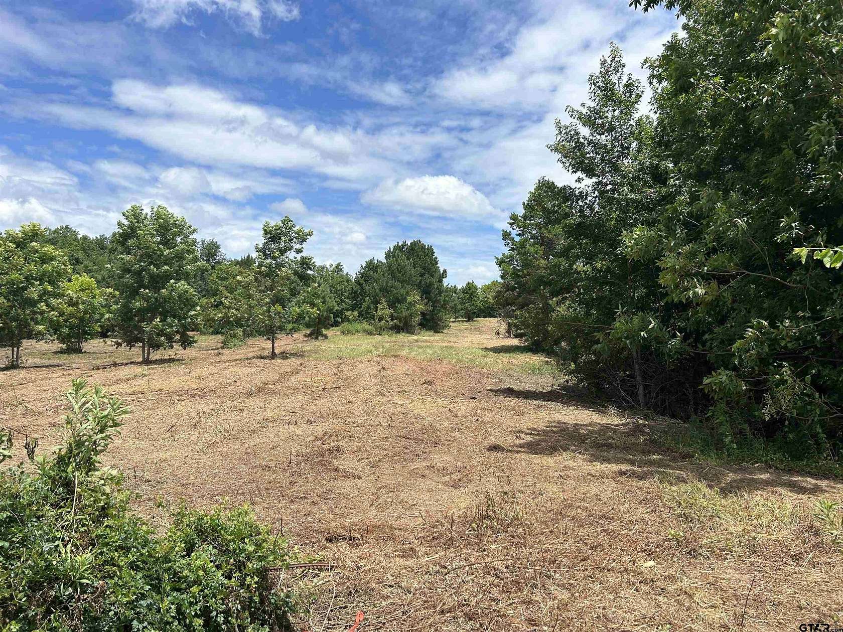 90 Acres of Recreational Land for Sale in Henderson, Texas