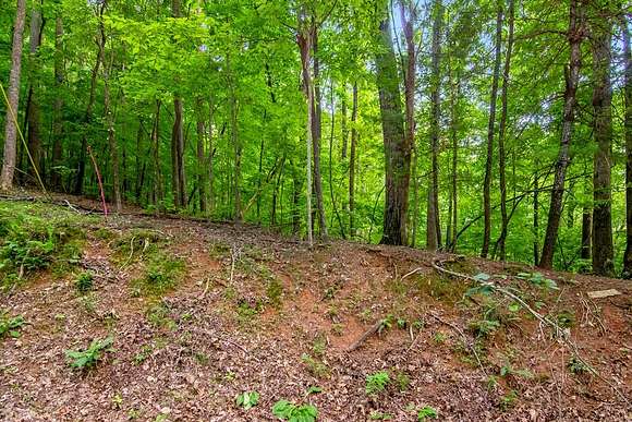 0.52 Acres of Residential Land for Sale in Ellijay, Georgia