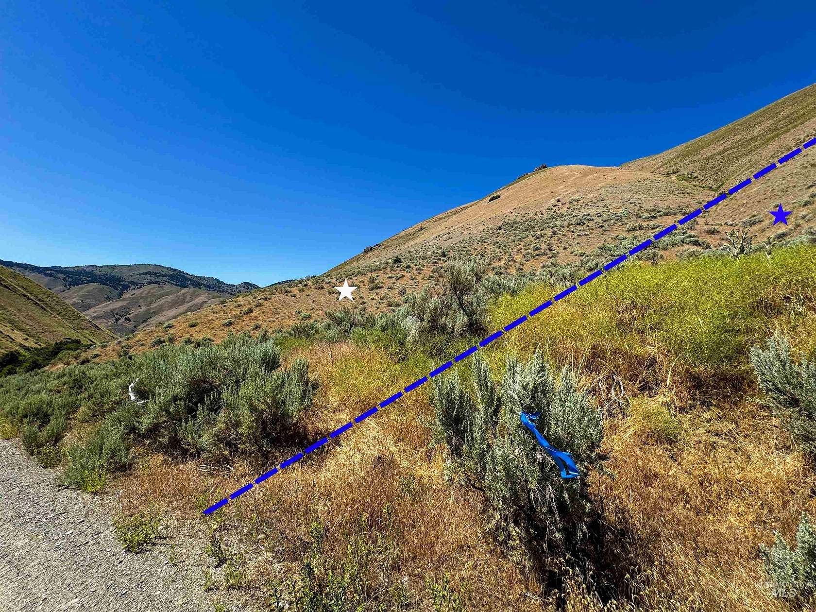38.5 Acres of Recreational Land for Sale in Weiser, Idaho