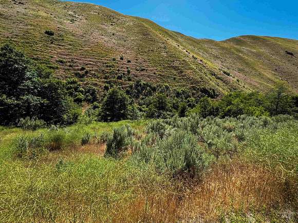 49.67 Acres of Recreational Land for Sale in Weiser, Idaho