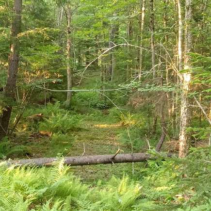 25 Acres of Recreational Land for Sale in St. Johnsville, New York