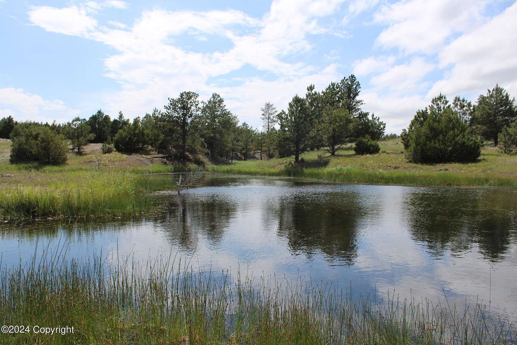 79.2 Acres of Recreational Land for Sale in Oshoto, Wyoming