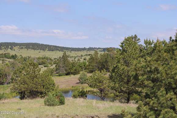 79.2 Acres of Recreational Land for Sale in Oshoto, Wyoming