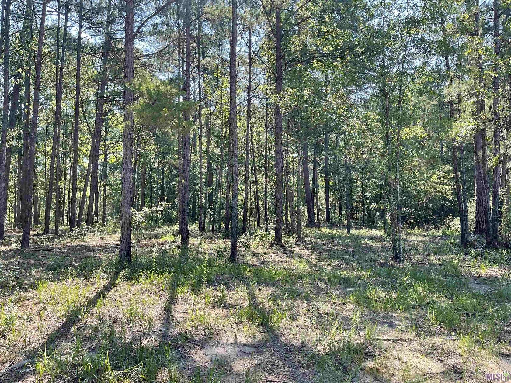 26.84 Acres of Recreational Land for Sale in Clinton, Louisiana