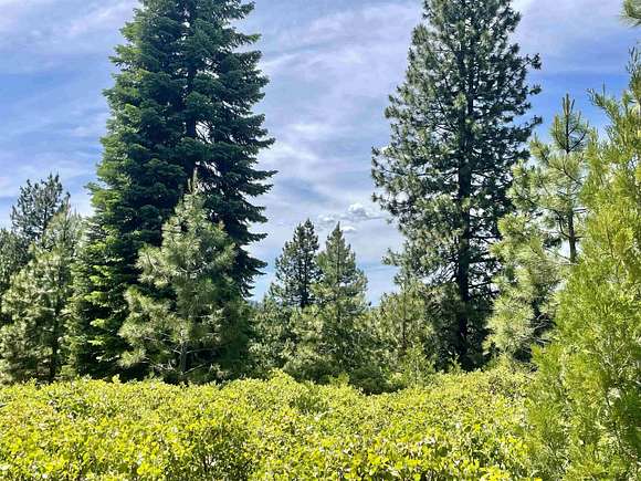 0.68 Acres of Residential Land for Sale in Lake Almanor Peninsula, California