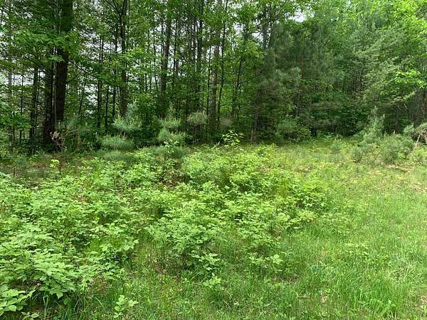 1 Acre of Residential Land for Sale in Tomahawk, Wisconsin