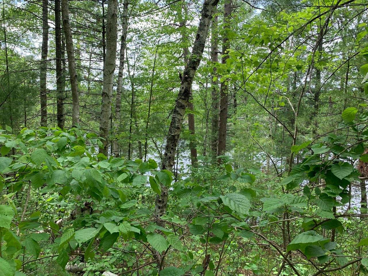 2.31 Acres of Residential Land for Sale in Tomahawk, Wisconsin