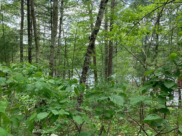 2.31 Acres of Residential Land for Sale in Tomahawk, Wisconsin