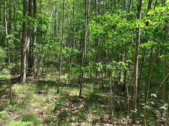 4.08 Acres of Residential Land for Sale in Tomahawk, Wisconsin