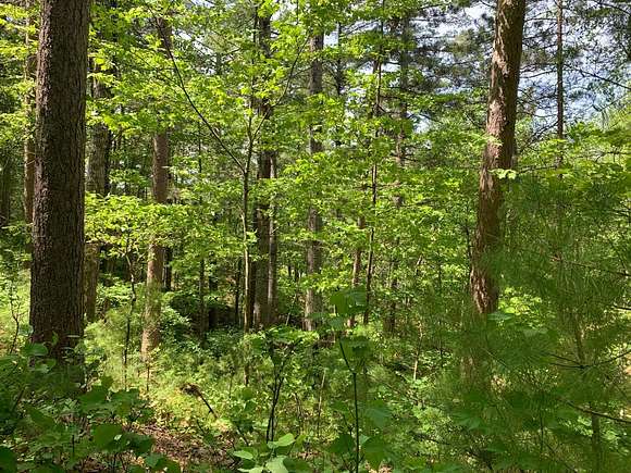 3.41 Acres of Residential Land for Sale in Tomahawk, Wisconsin