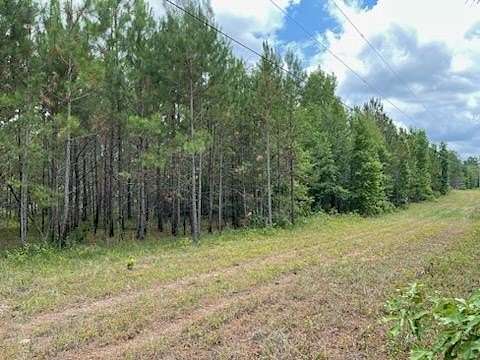 2.93 Acres of Residential Land for Sale in Eastman, Georgia